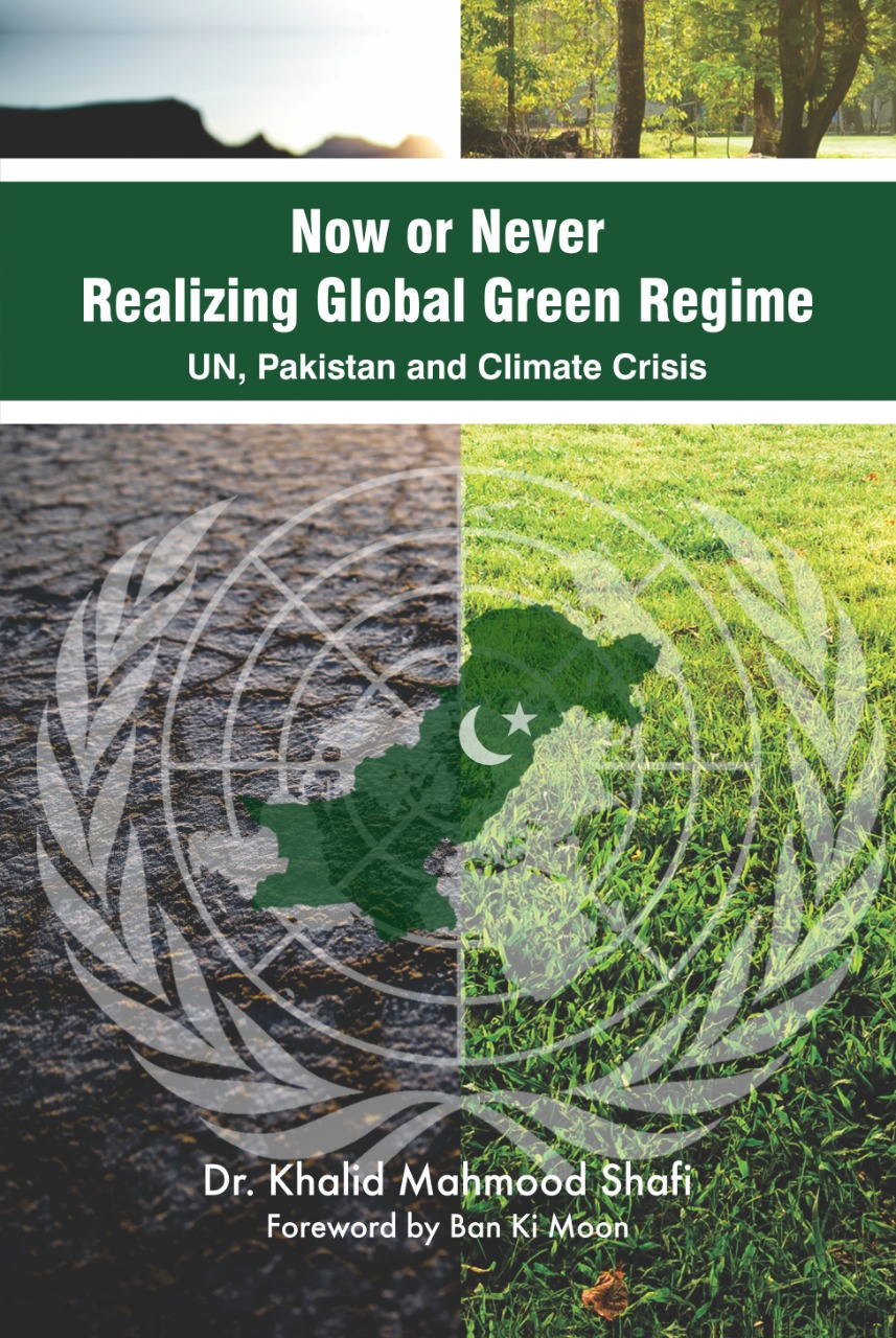 Book cover: Now or never – Realizing Global Green Regime